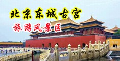 我要看鸡巴干逼中国北京-东城古宫旅游风景区